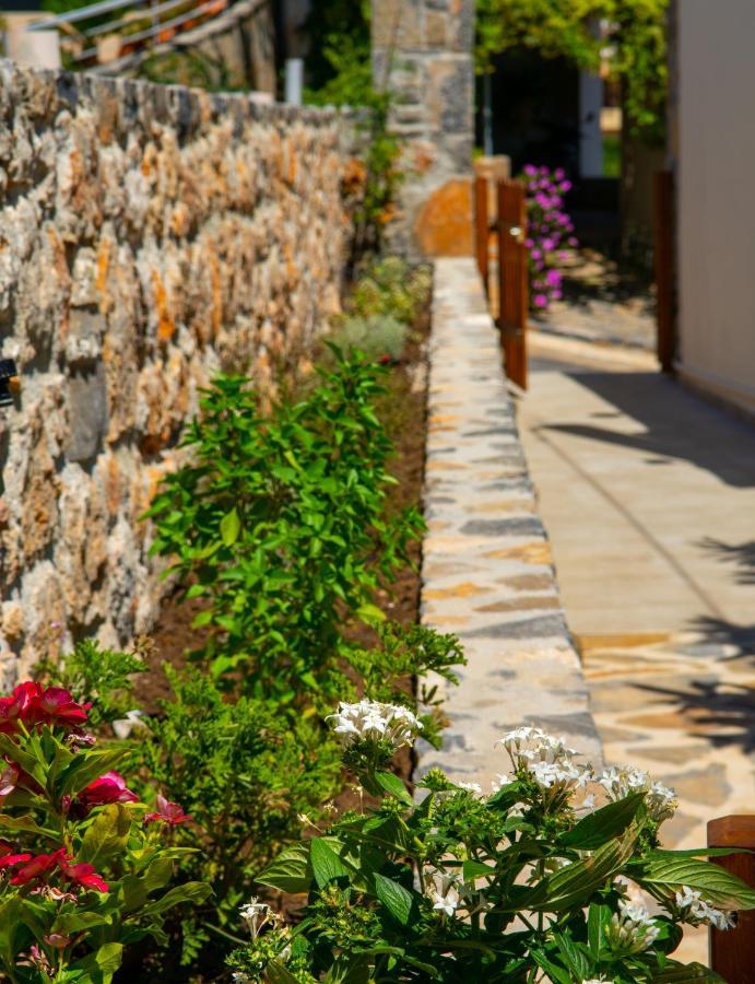 فيلا Eleni'S Cozy House آغيوس نيكولاوس المظهر الخارجي الصورة
